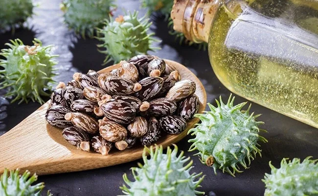 Ricínový olej na vlasy