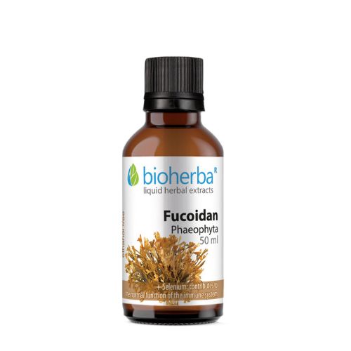 E-shop Fucoidan tinktúra Bioherba 50ml