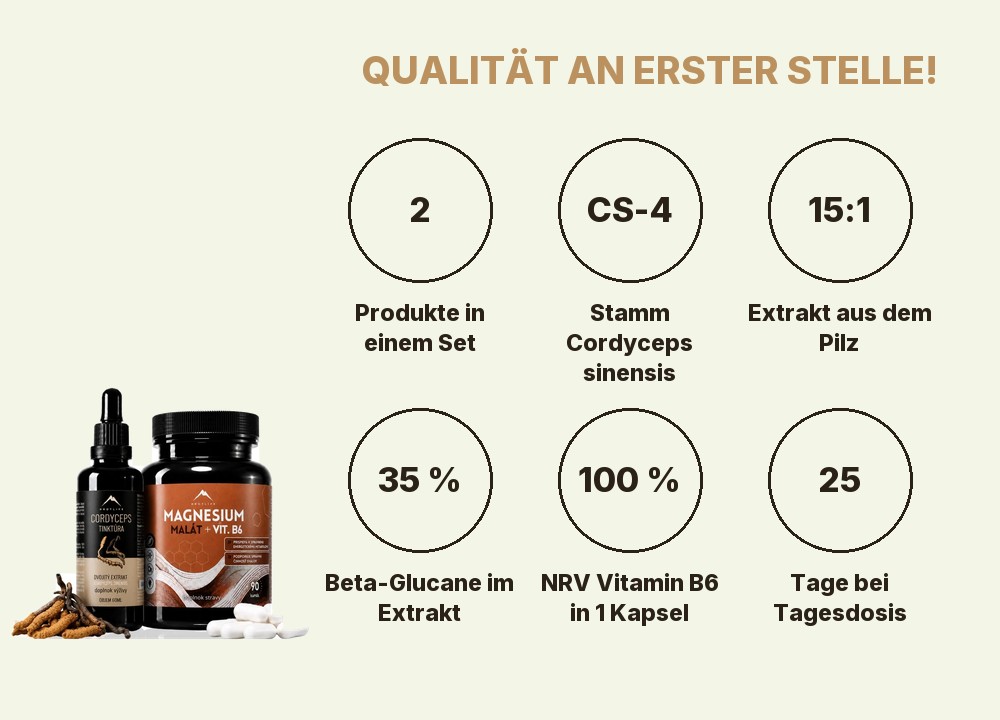 Energy Bundle Hrotlife: 2 Produkte, Cordyceps CS-4, Extrakt 15:1, 35 % Beta-Glucane, 100 % NRV Vitamin B6 in 1 Kapsel, 25 Tage