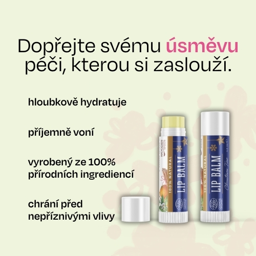 Balzám na rty Vánoce Wooden Spoon 4,3ml